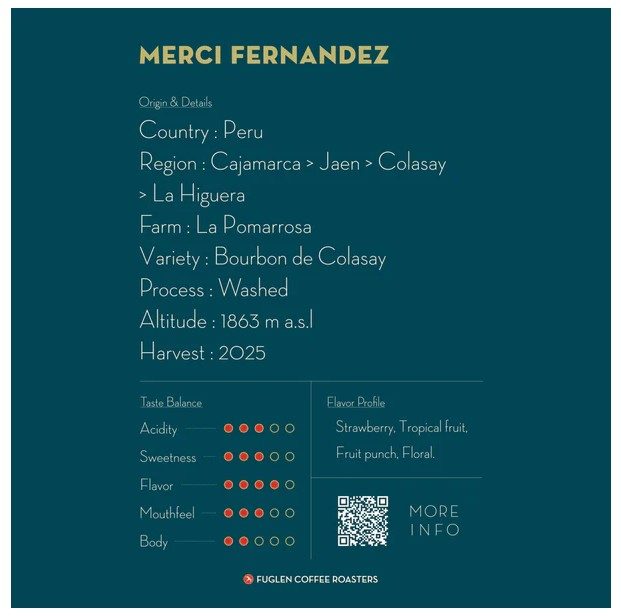 ハンドドリップ Merci Fernandez(ホット)